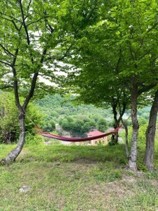 image 377440