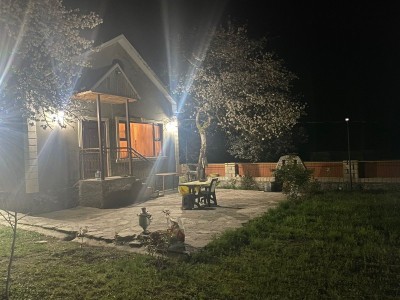 image 377440