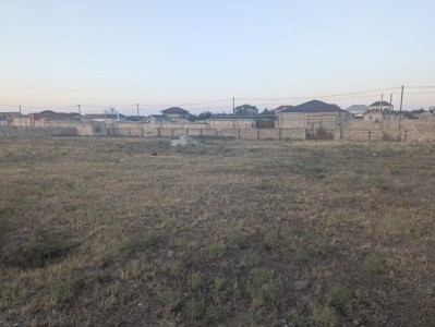 image 377456