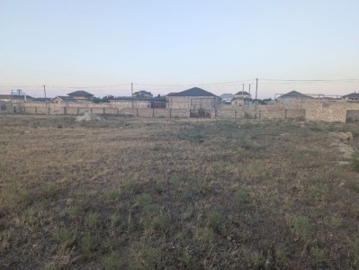 image 377456