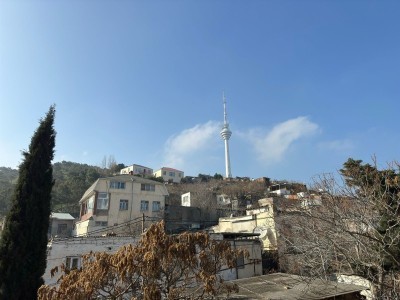 image 377461