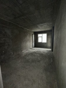 image 377462