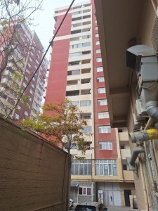 image 377466