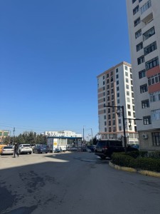 image 377473