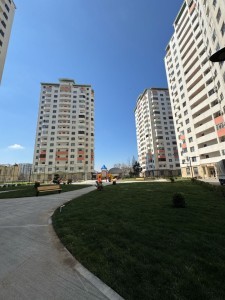 image 377473