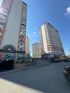 image 377473