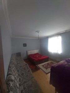 image 377477