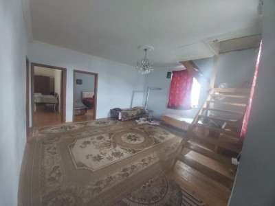 image 377477