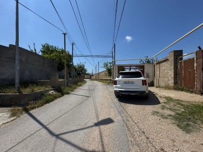 image 377486