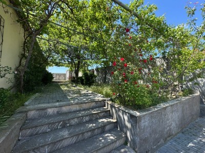 image 377486