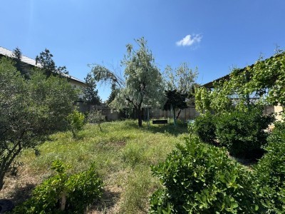 image 377486