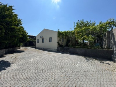 image 377486
