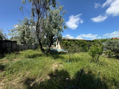 image 377486