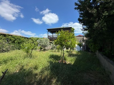 image 377486