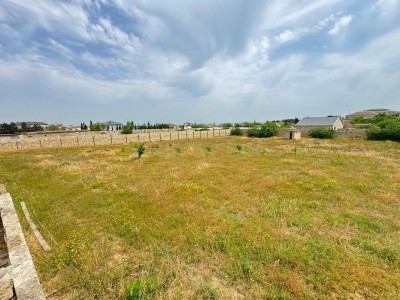 image 377491