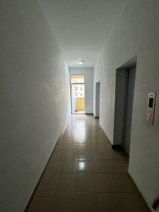 image 377493