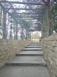 image 377495
