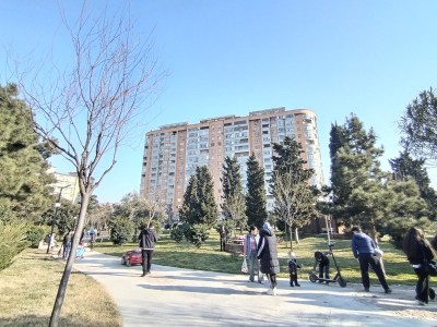 image 377495