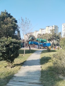 image 377495