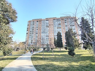 image 377495