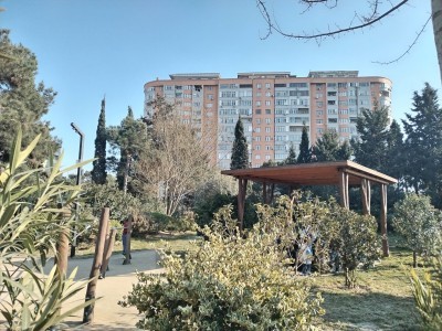 image 377495