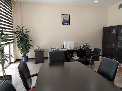 image 377501