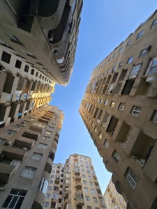 image 377505