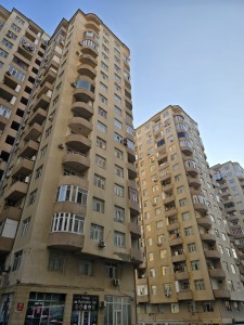 image 377505