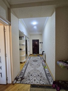 image 377505