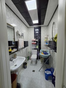image 377505