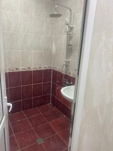 image 377506