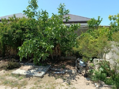 image 377510