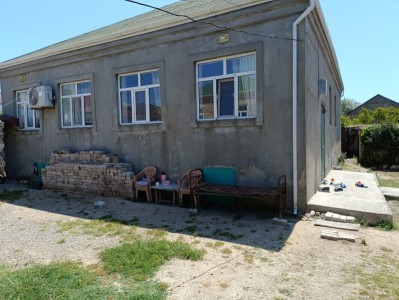 image 377510