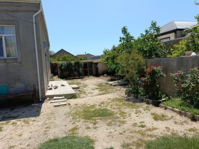 image 377510