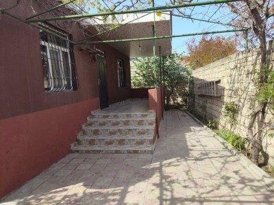 image 377514