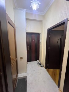 image 377517