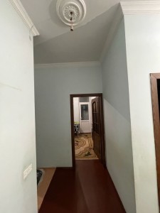 image 377524