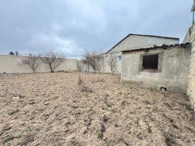 image 377526