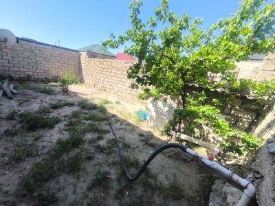 image 377528
