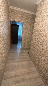 image 377535