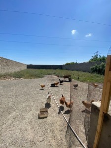 image 377537