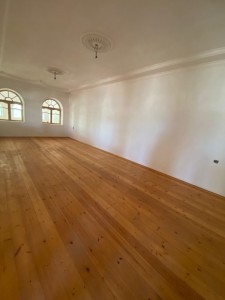 image 377537