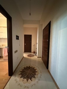 image 377539