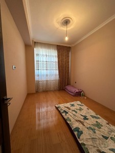 image 377539