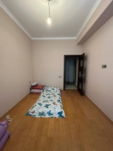 image 377539
