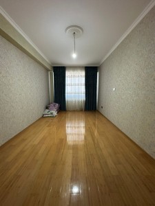 image 377539
