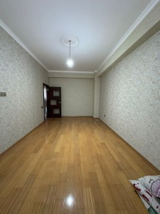 image 377539
