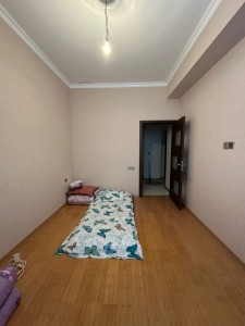 image 377539