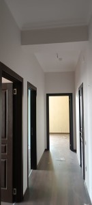 image 377547