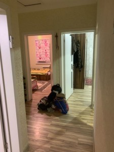 image 377550